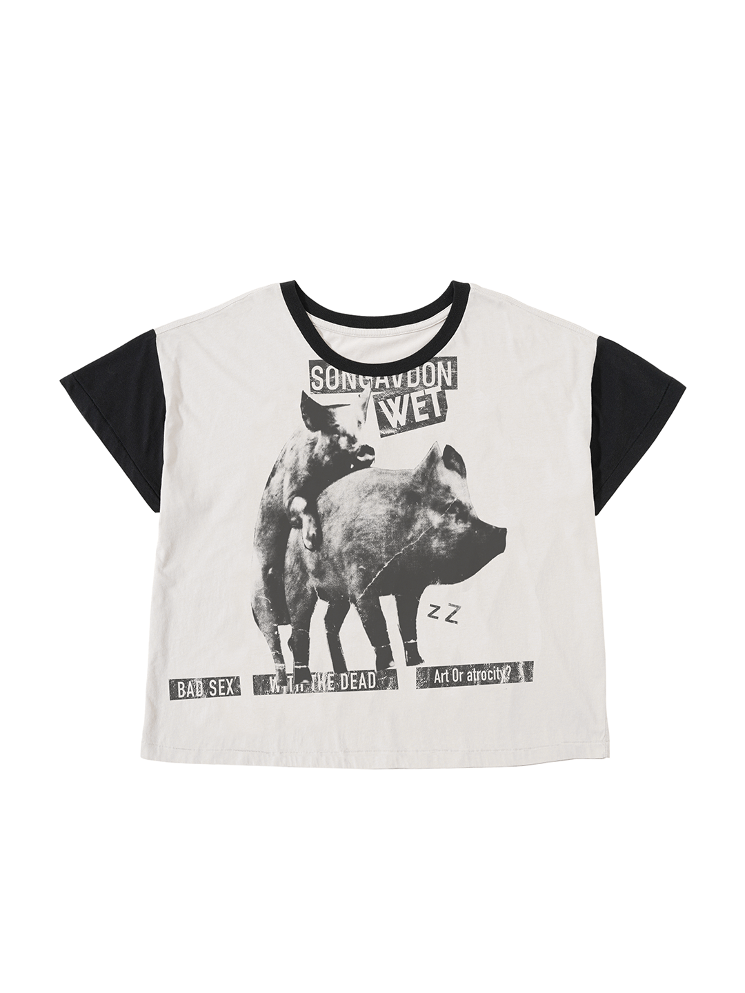 Art or atrocity T-shirt