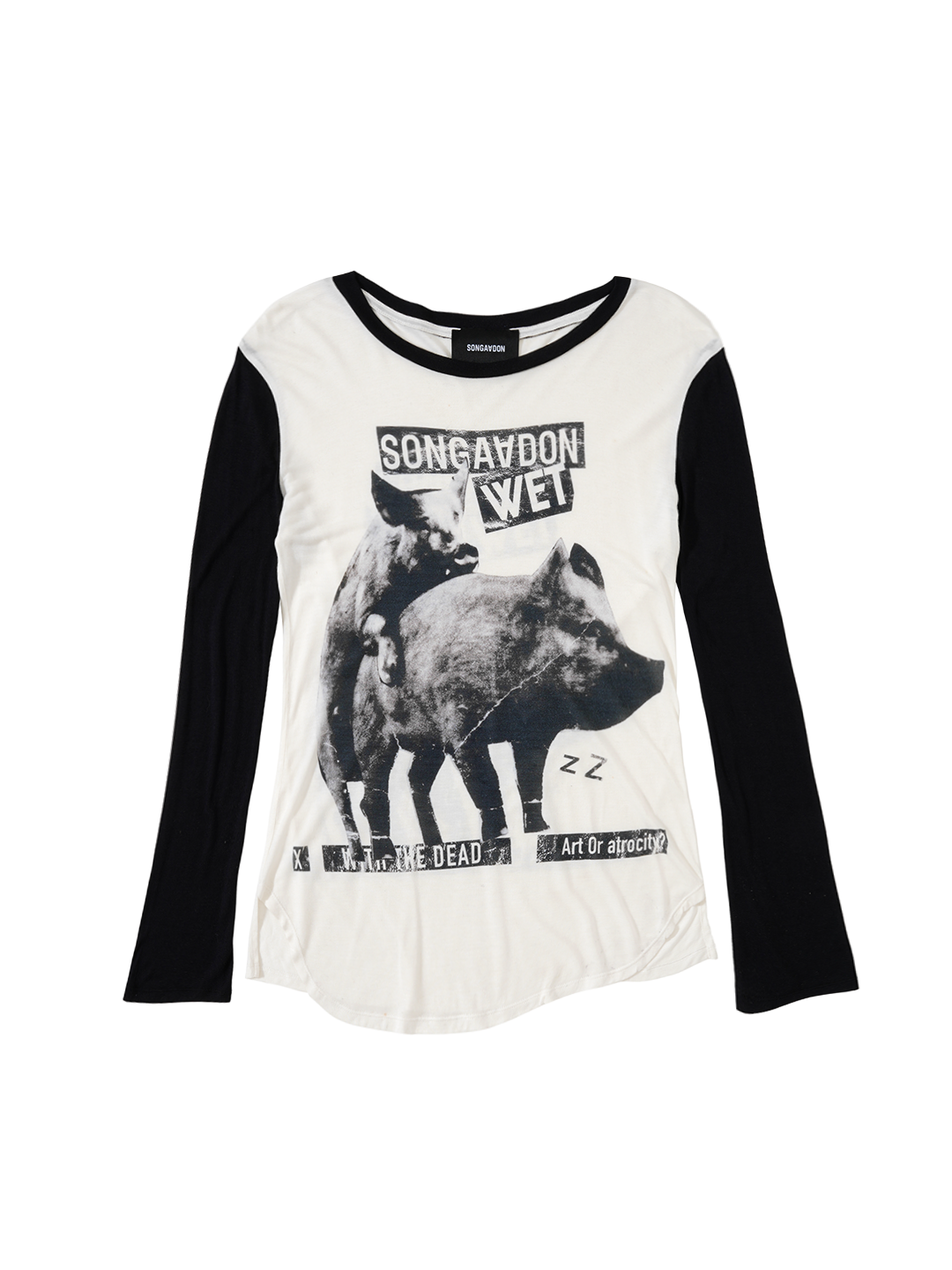 Art or atrocity Long sleeve T-shirt